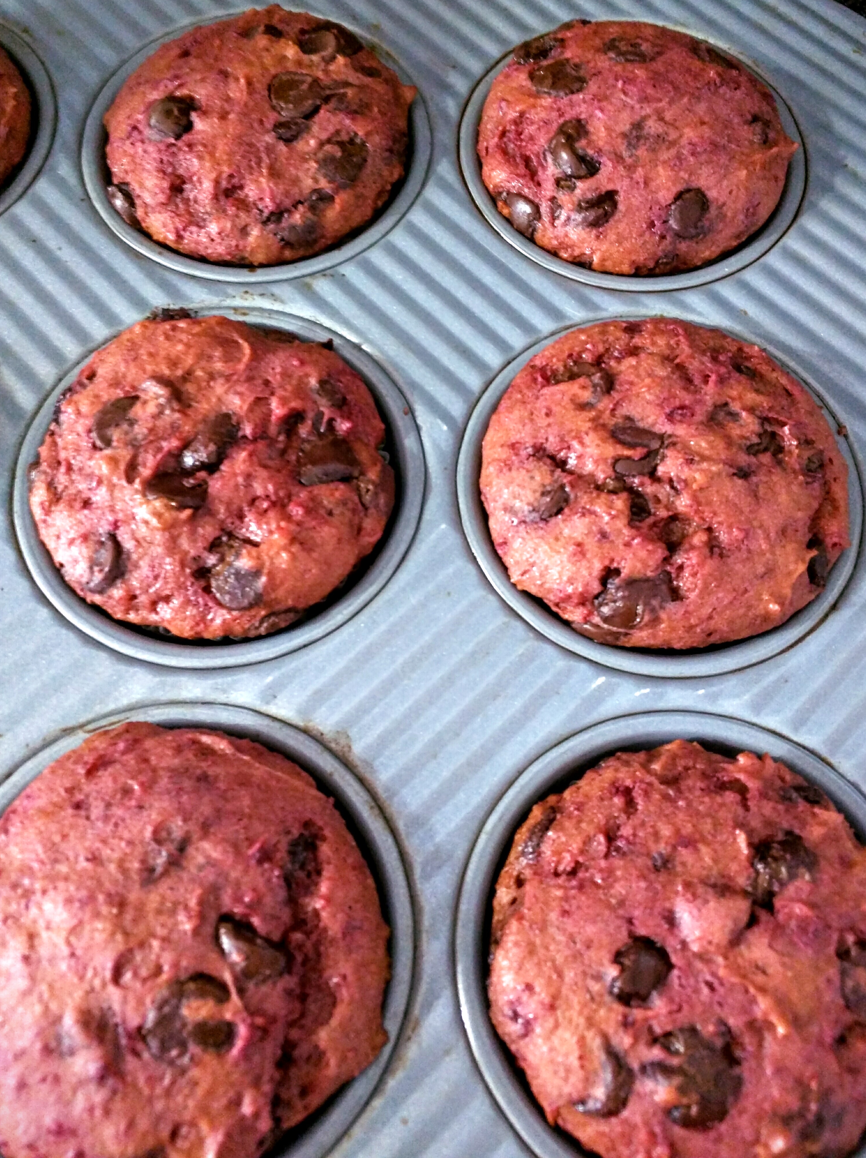 IMG_20160210_105920~2