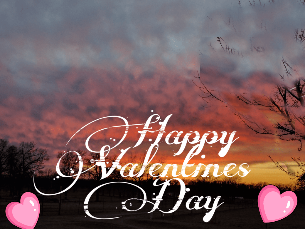 PicsArt_02-13-08.49.47