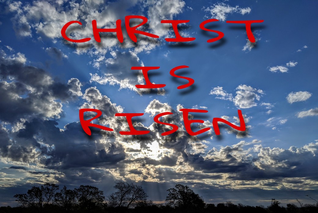 PicsArt_04-12-08.15.25