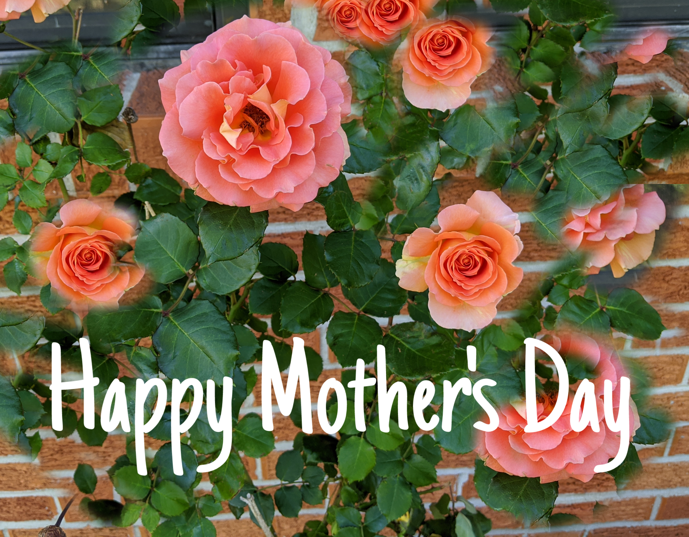 PicsArt_05-10-08.52.32